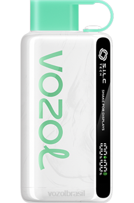 VOZOL Vape Brasil | PV2X43 VOZOL STAR estrela 9000/12000 hortelã-limão 9000/12000